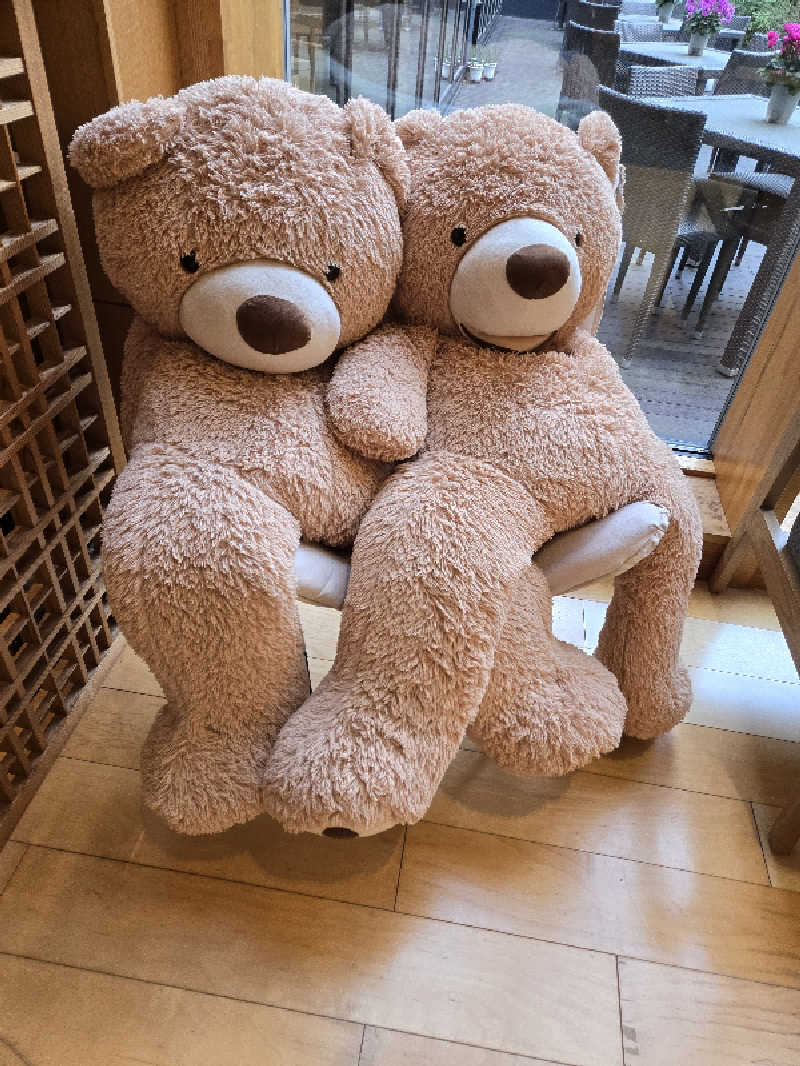 ロキオットさんの綱島源泉 湯けむりの庄のサ活写真