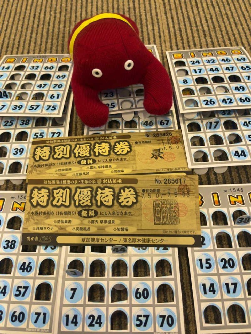 すみっコサウナーさんの湯乃泉 草加健康センターのサ活写真