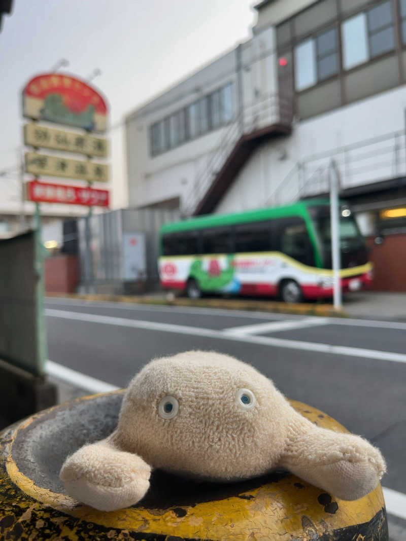 すみっコサウナーさんの湯乃泉 草加健康センターのサ活写真
