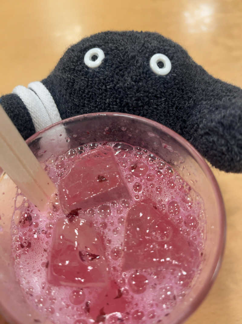 すみっコサウナーさんの湯乃泉 草加健康センターのサ活写真