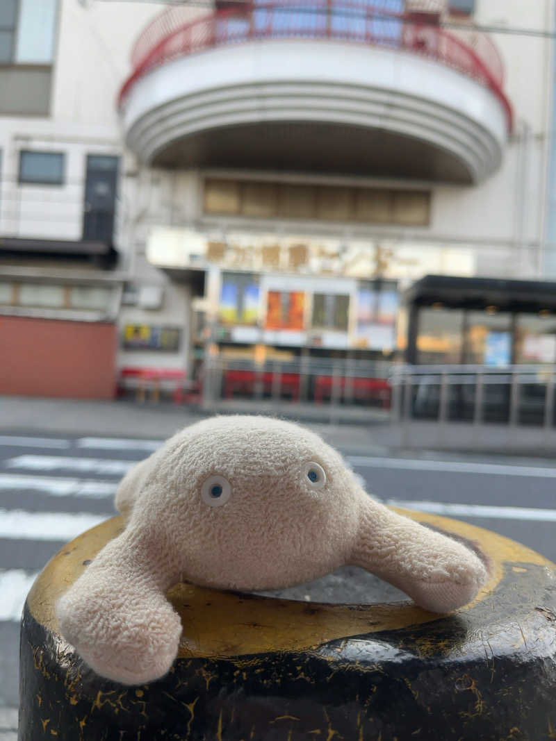 すみっコサウナーさんの湯乃泉 草加健康センターのサ活写真