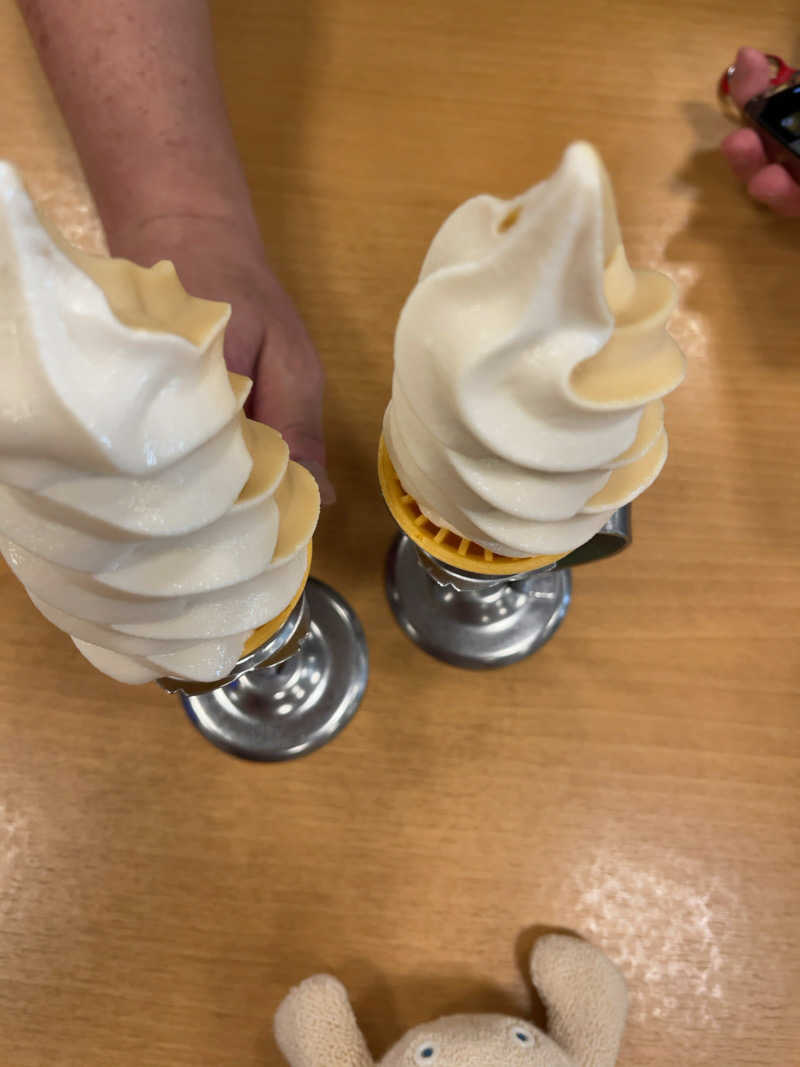 すみっコサウナーさんの湯乃泉 草加健康センターのサ活写真