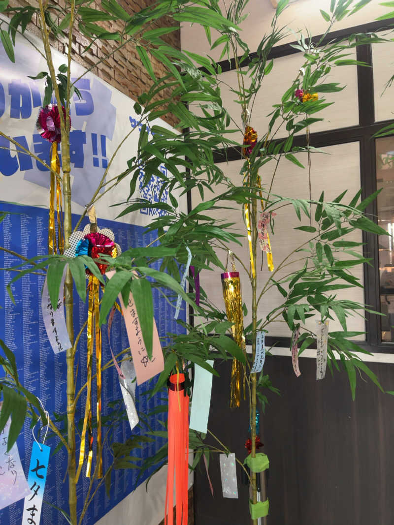 すみっコサウナーさんの湯乃泉 草加健康センターのサ活写真