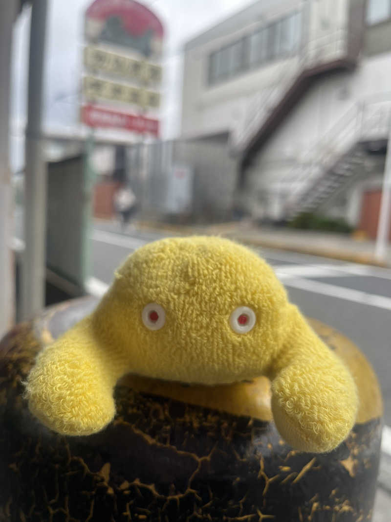 すみっコサウナーさんの湯乃泉 草加健康センターのサ活写真