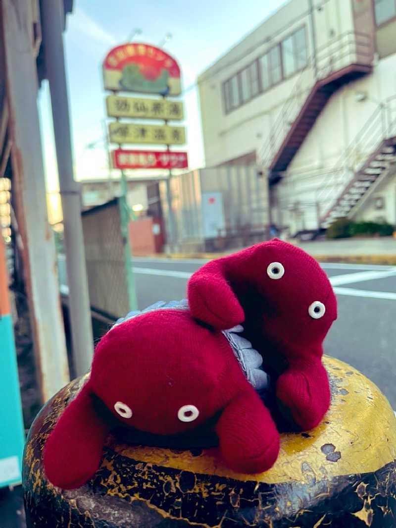 すみっコサウナーさんの湯乃泉 草加健康センターのサ活写真