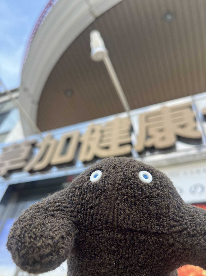 すみっコサウナーさんの湯乃泉 草加健康センターのサ活写真