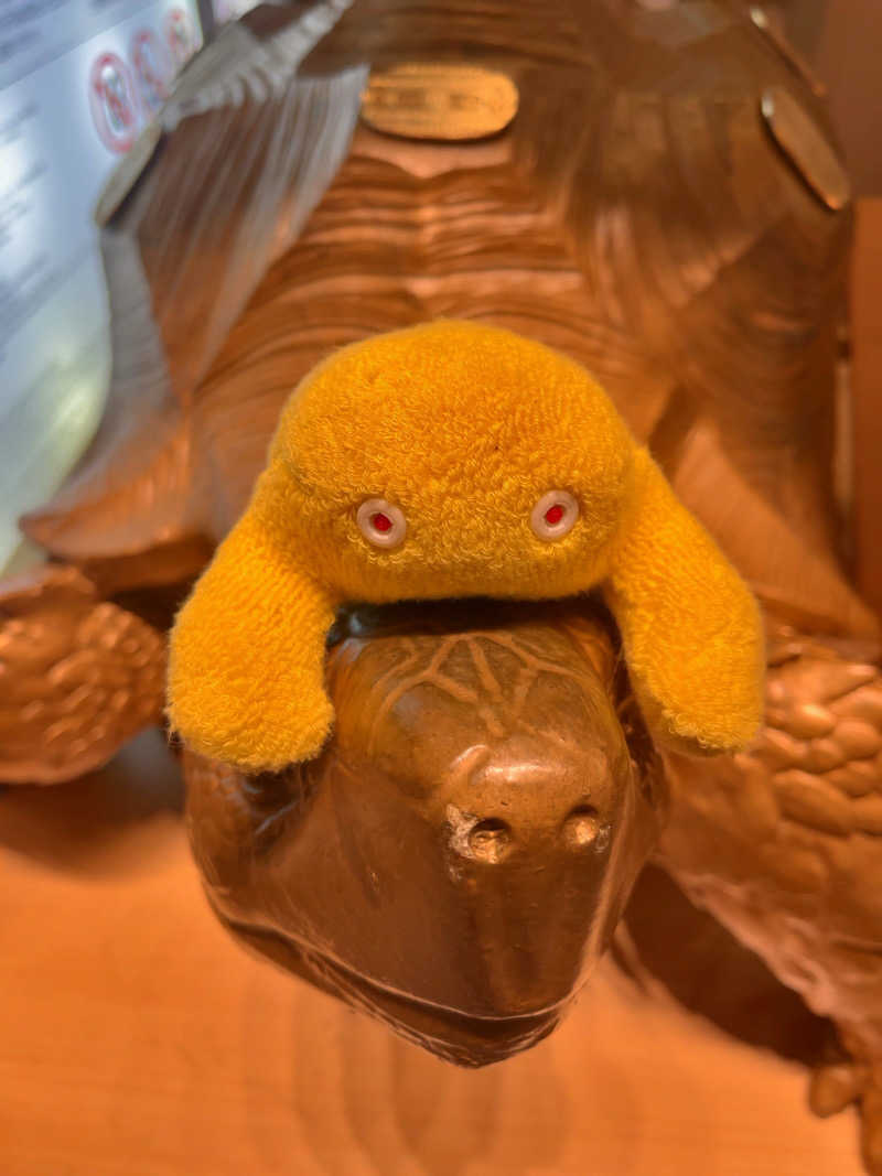 すみっコサウナーさんの生姜サウナ「金の亀」のサ活写真