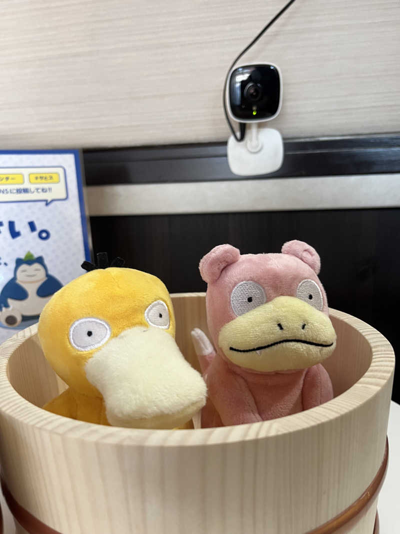 すみっコサウナーさんの湯乃泉 草加健康センターのサ活写真