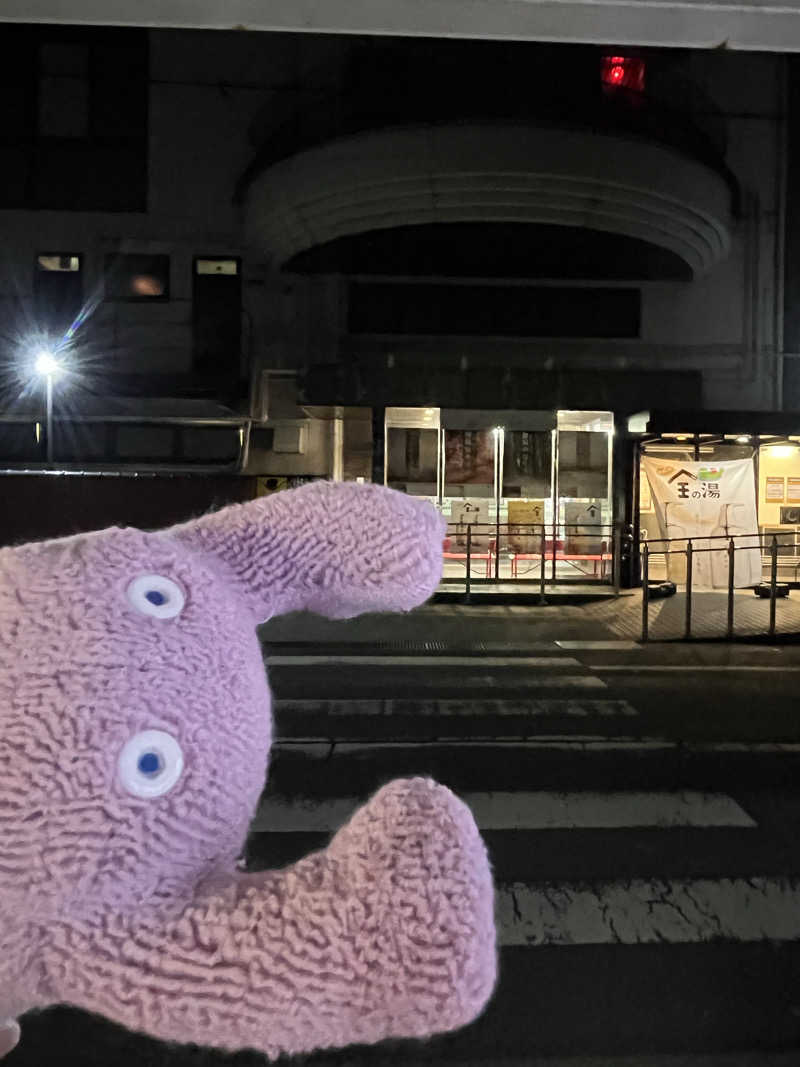 すみっコサウナーさんの湯乃泉 草加健康センターのサ活写真