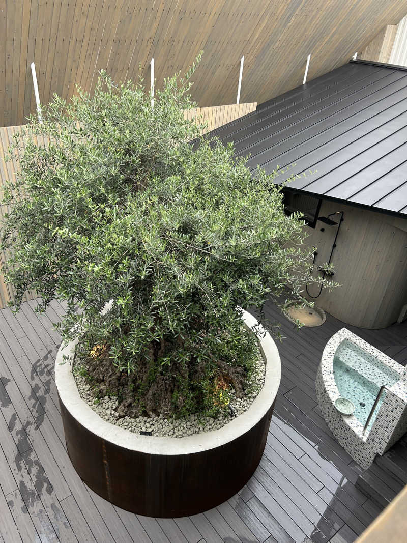 サウにゃー🐱さんのsauna kolme kylä (サウナ コルメ キュラ)のサ活写真