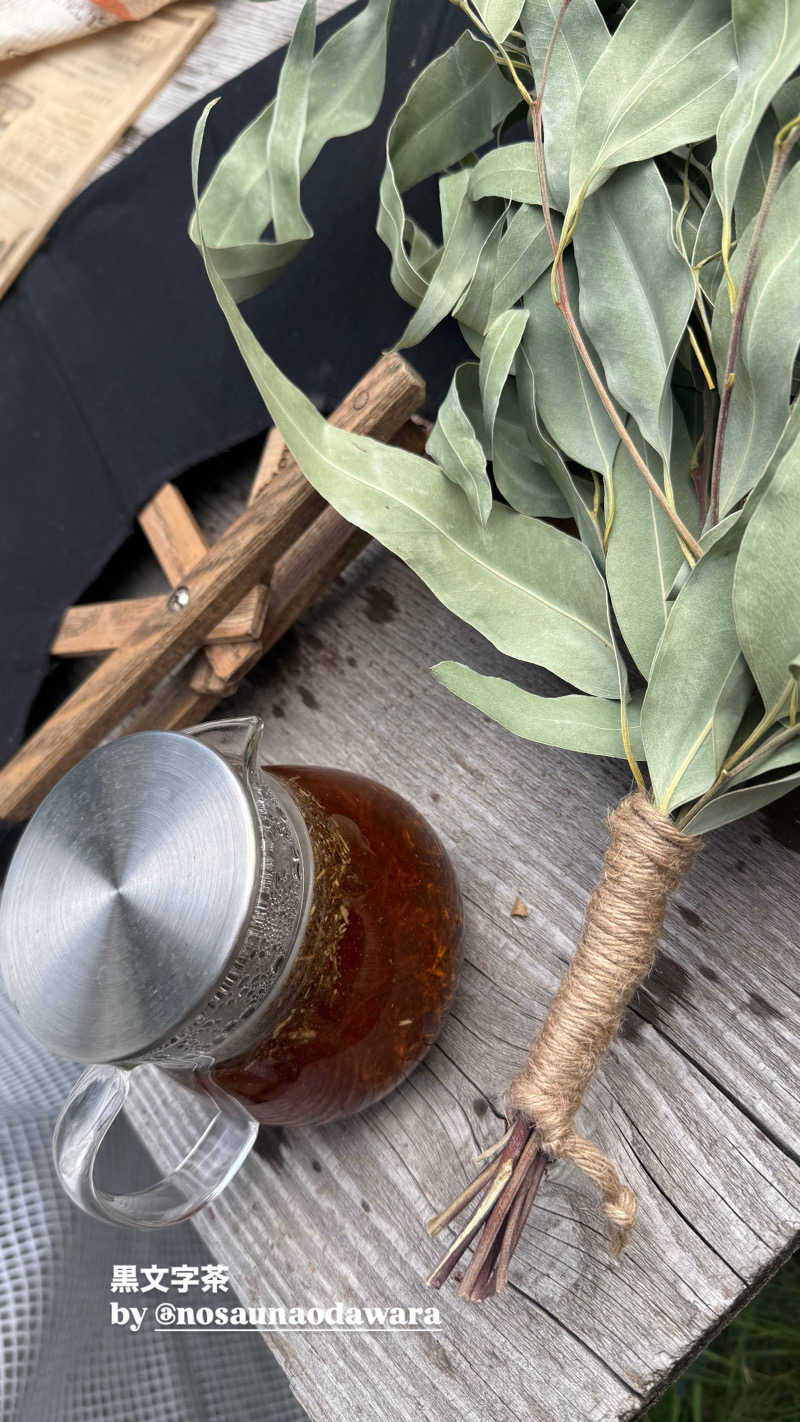 智楓／Tomoka(ともち)さんの公衆アウトドアサウナ ノサウナのサ活写真