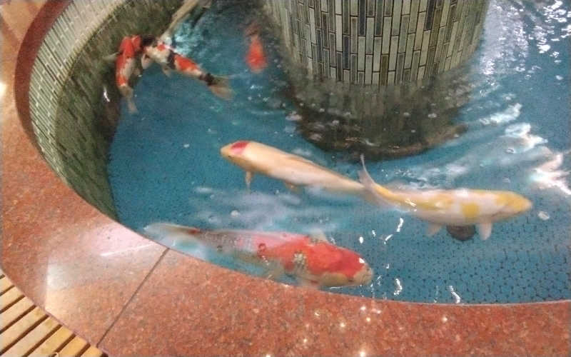 リサさんの夢の公衆浴場 五色のサ活写真