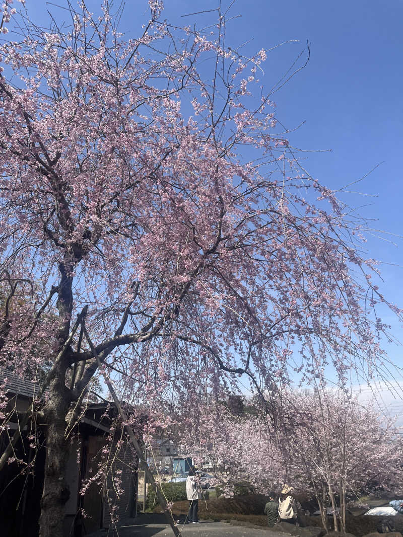 さうなスキ子さんのカンデオホテルズ佐野のサ活写真