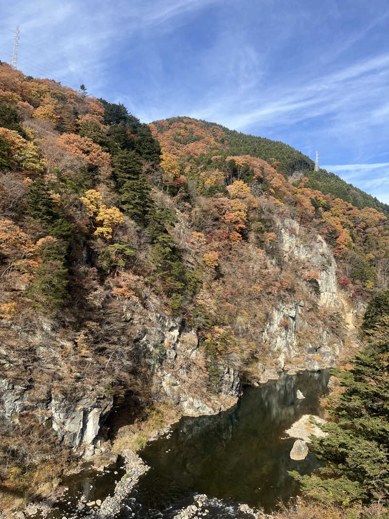 さうなスキ子さんのホテルサンシャイン鬼怒川のサ活写真