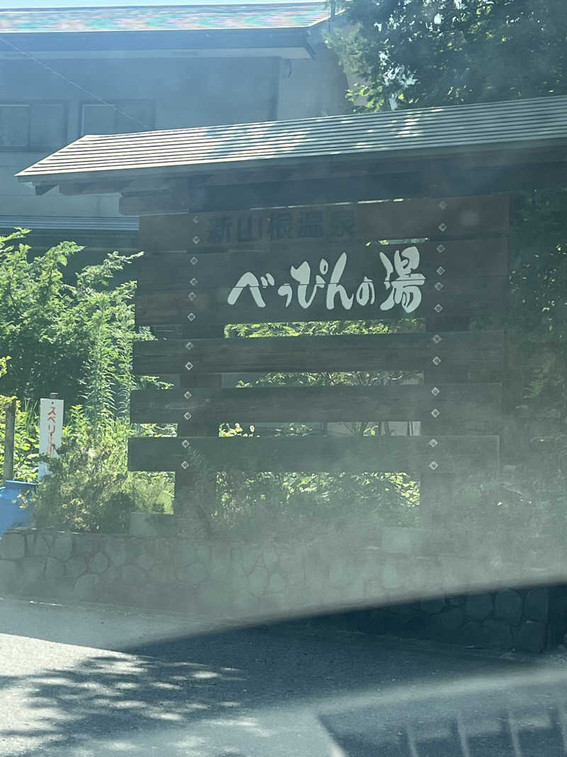 sau菜ちゃん🍊さんの新山根温泉 べっぴんの湯のサ活写真