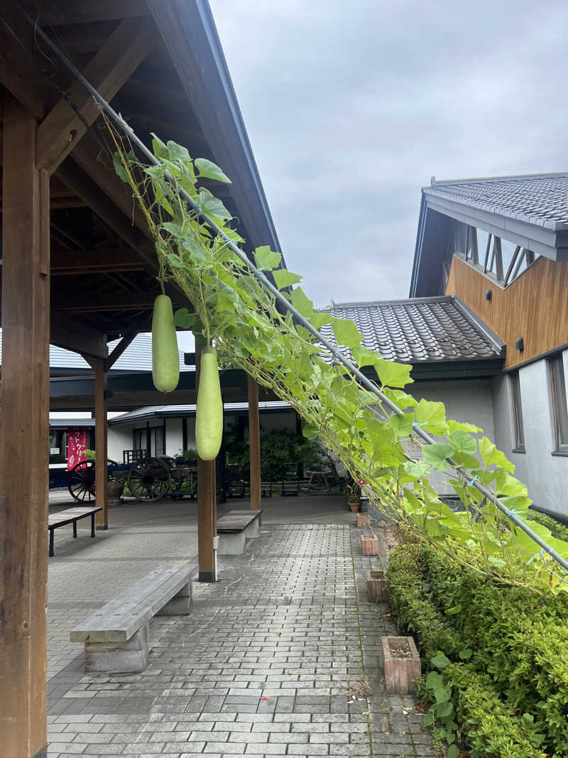 sau菜ちゃん🍊さんのアグリパークおおさわのサ活写真