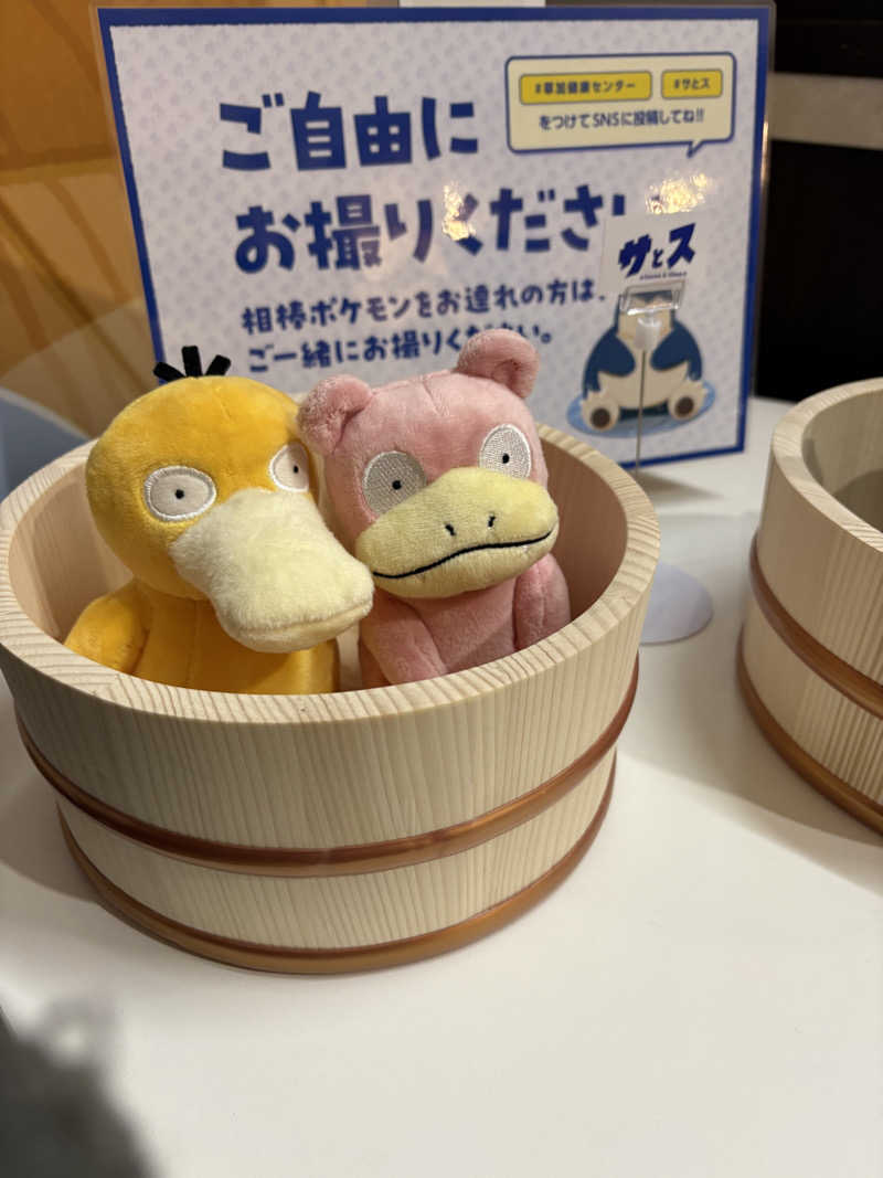 Aynさんの湯乃泉 草加健康センターのサ活写真