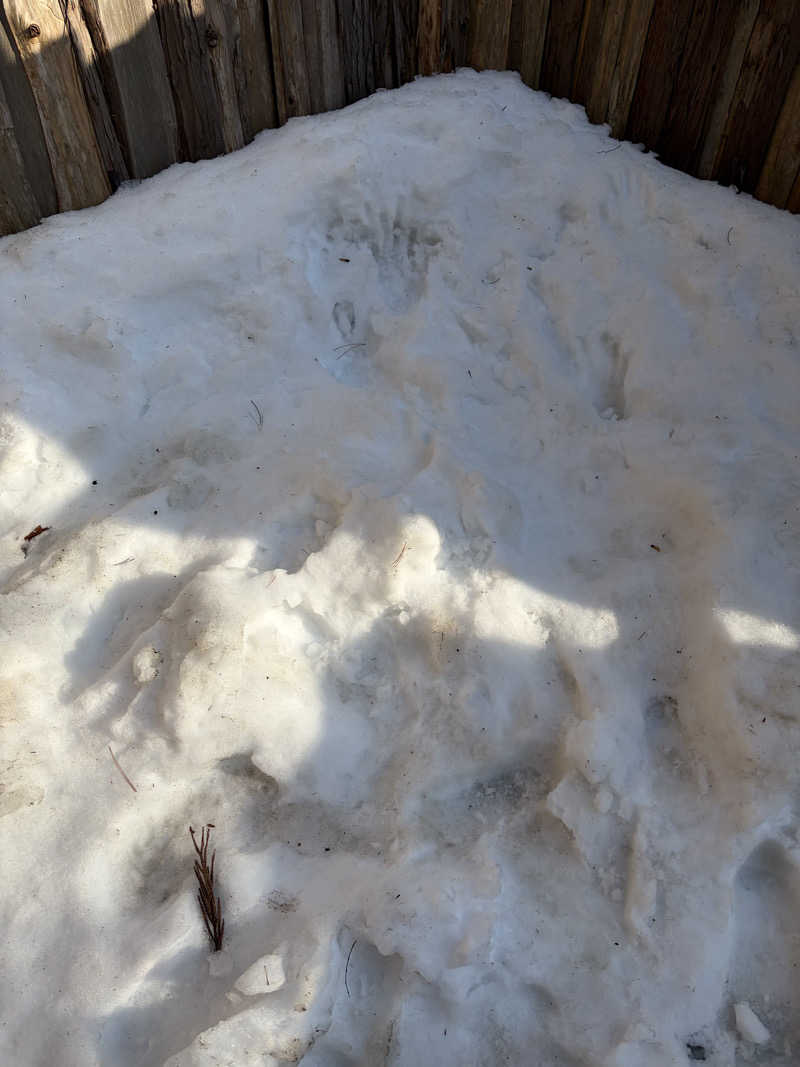 東 亮太さんのThe TOJIBA 松川館のサ活写真