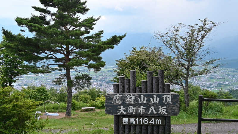 グランクラスしんやさんの権堂温泉テルメDOMEのサ活写真