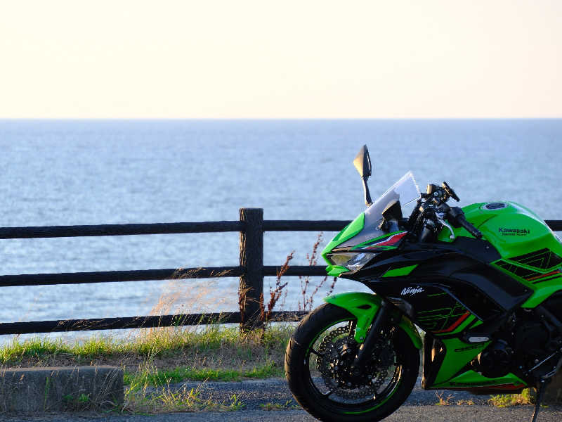 グランクラスしんやさんのサウナと天然温泉 じょんのび館のサ活写真