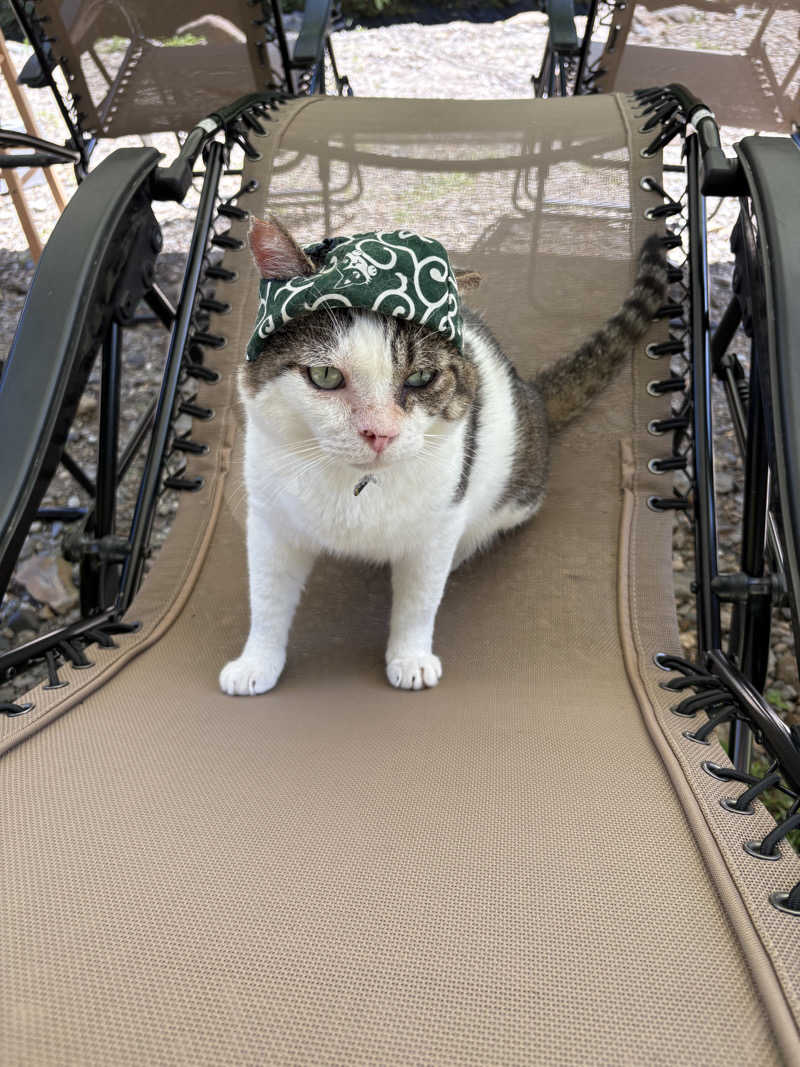 ゆうタロスさんのあおぞらサウナ-CAMPのサ活写真