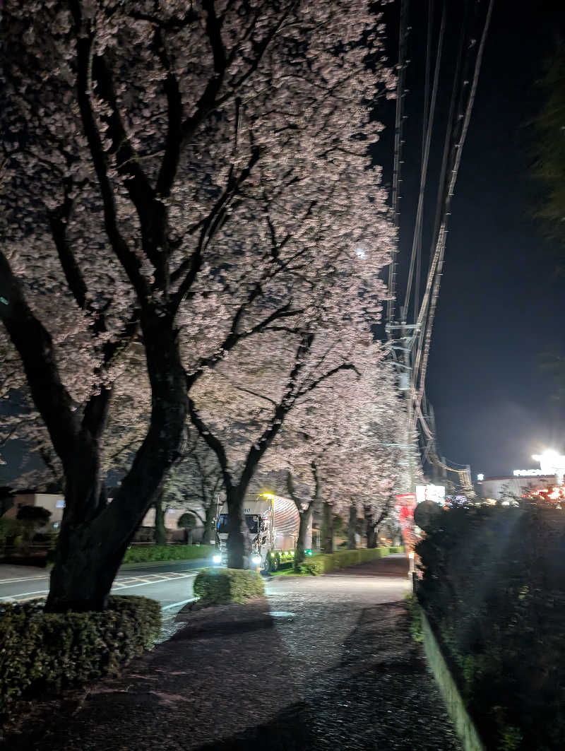 VGさんのととのいの郷 秦野湯花楽のサ活写真
