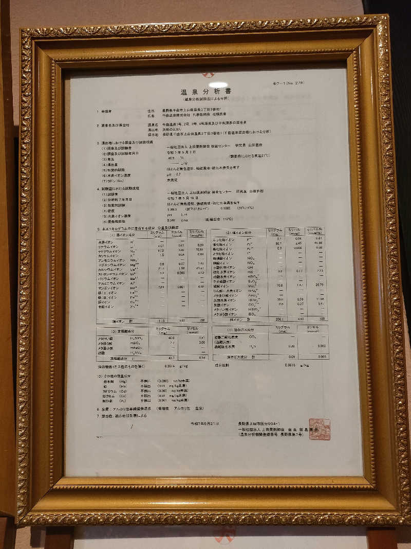鳥居100％さんの湯の華銭湯 瑞祥 松本館のサ活写真