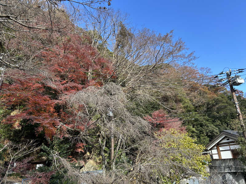 北斗のケンシロウ(職業:救世主？)さんの天山湯治郷 ひがな湯治 天山のサ活写真