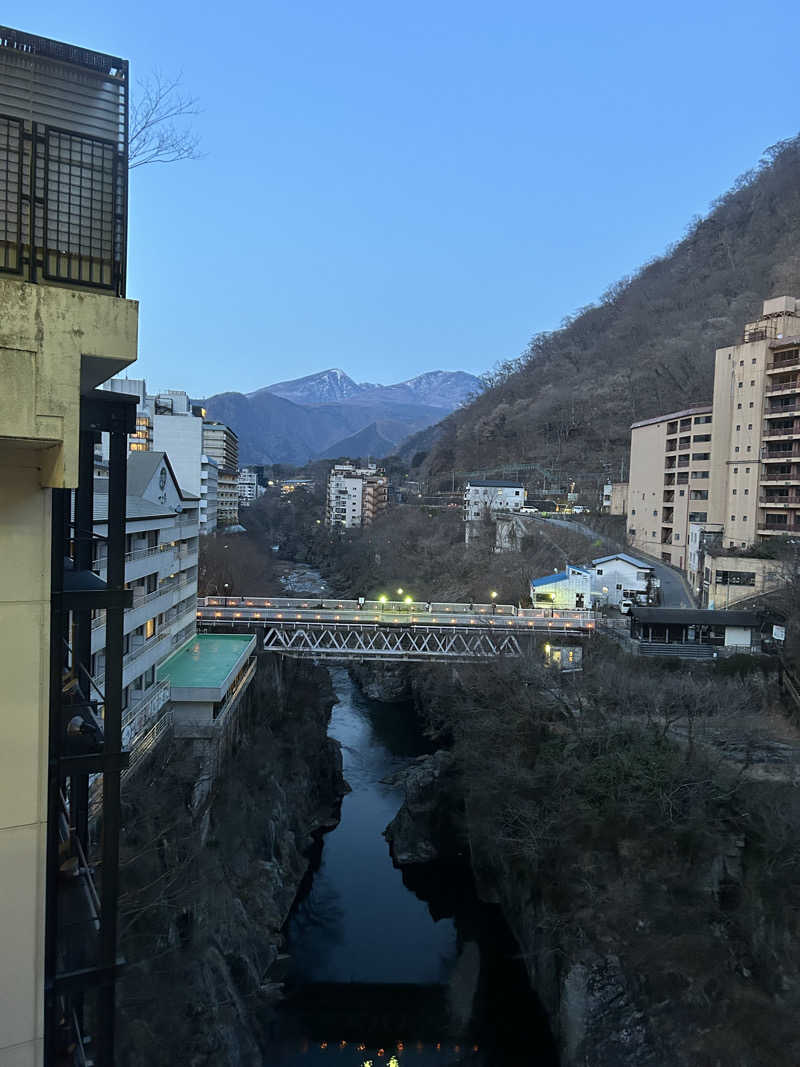 北斗のケンシロウ(職業:救世主？)さんの鬼怒川プラザホテルのサ活写真