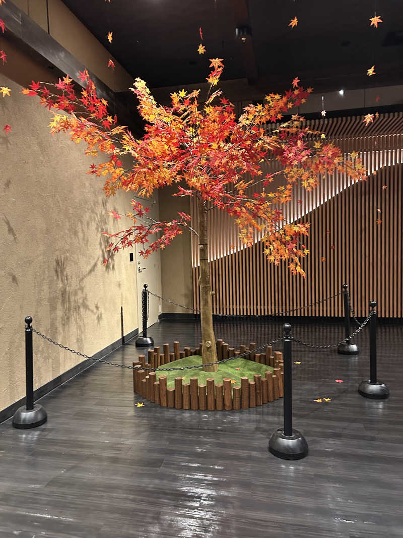 北斗のケンシロウ(職業:救世主？)さんの木の花の湯(HOTEL CLAD)のサ活写真