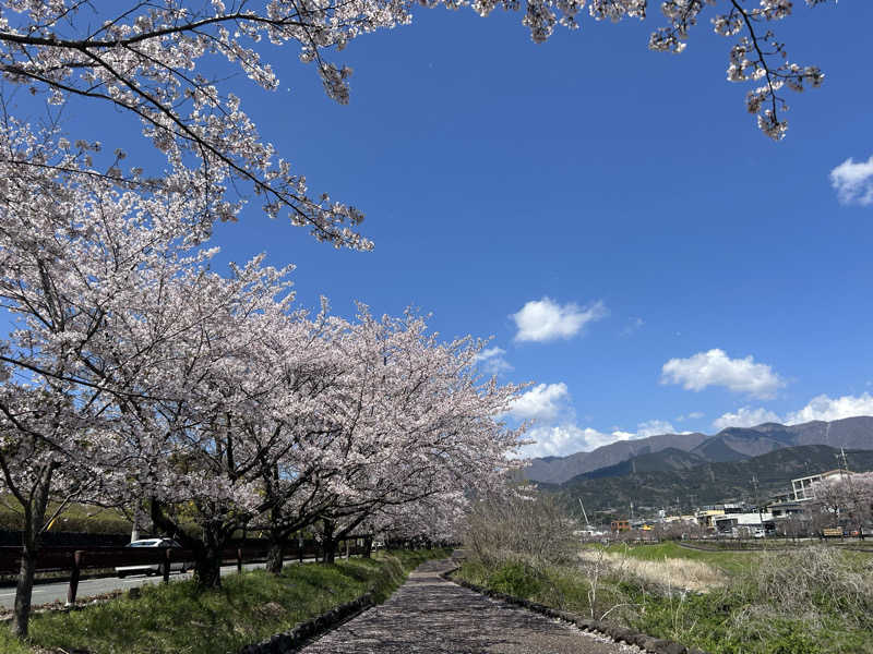 北斗のケンシロウ(職業:救世主？)さんのととのいの郷 秦野湯花楽のサ活写真