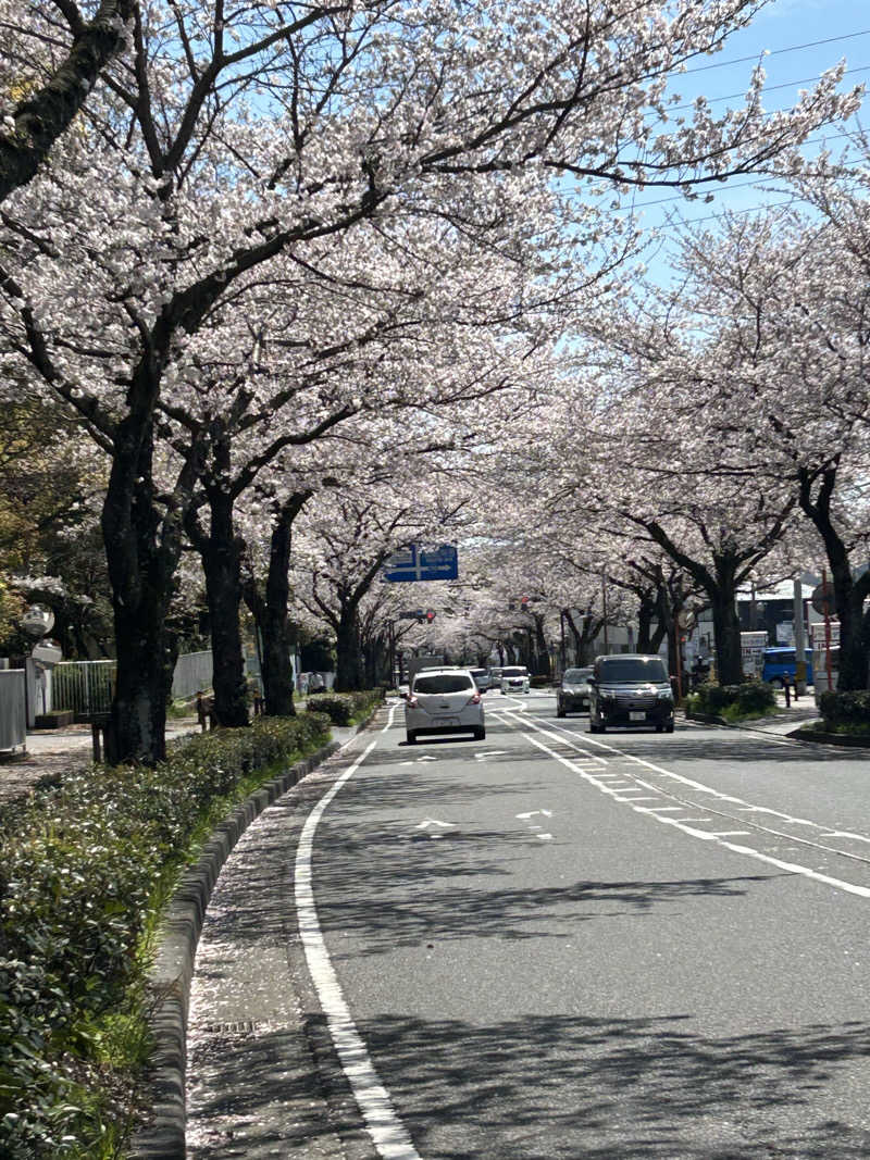 北斗のケンシロウ(職業:救世主？)さんのととのいの郷 秦野湯花楽のサ活写真