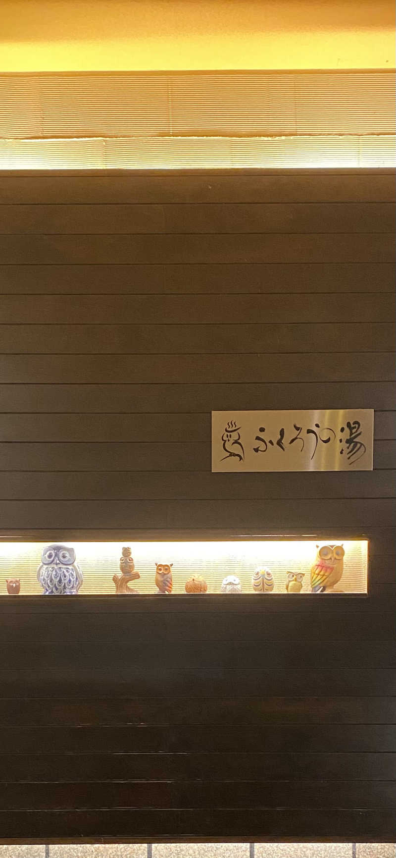 リコさんのふくろうの湯のサ活写真