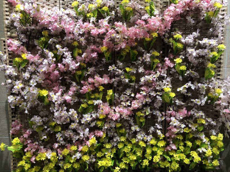 けーさんの石和健康ランドのサ活写真