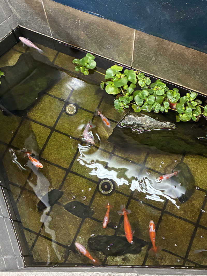 サウナーTA K Aさんのぽかぽか温泉 新守山乃湯のサ活写真