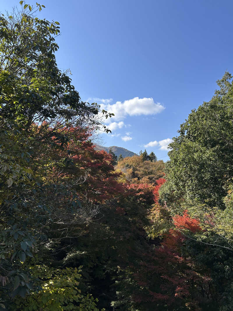 masaari (まさあり）さんの秩父温泉 満願の湯のサ活写真