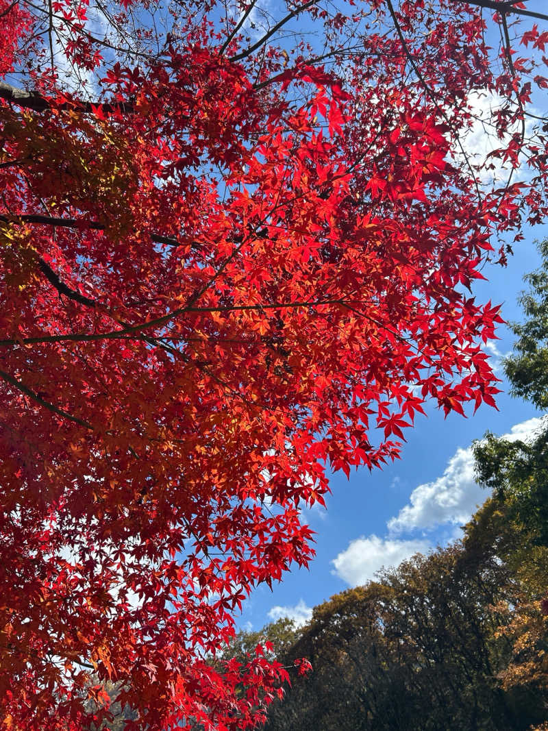 とっしーさんの寒の地獄旅館のサ活写真