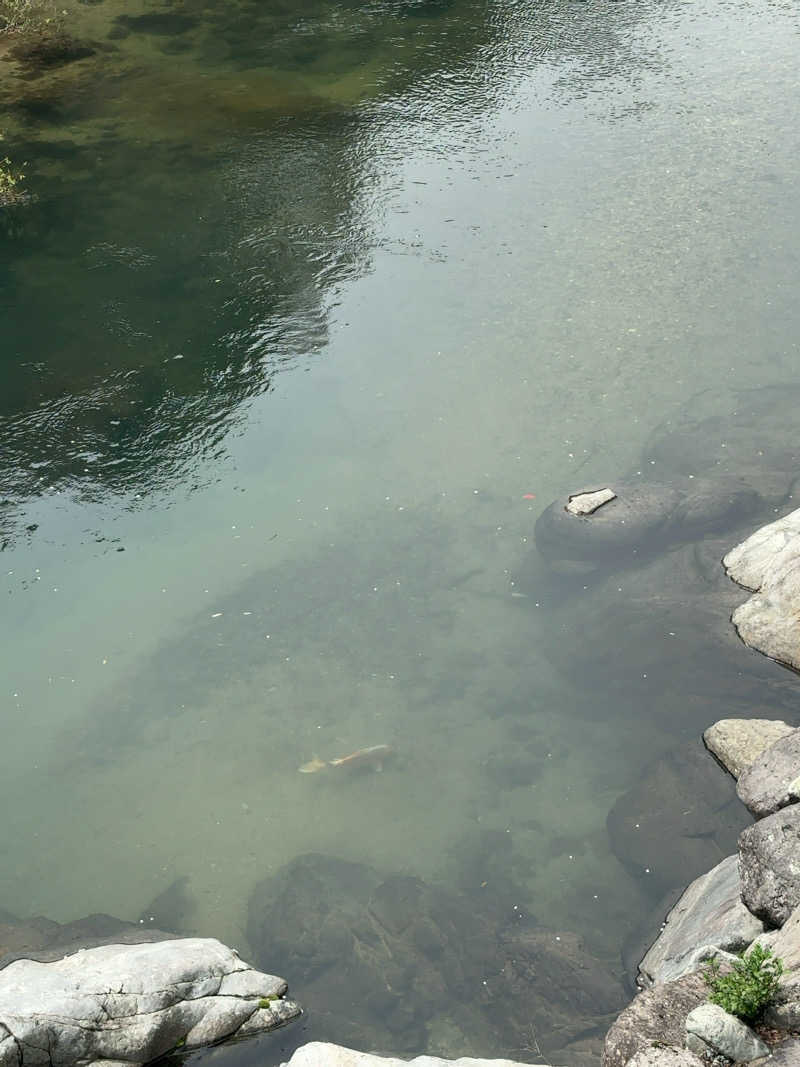 カリゾウさんの大谷山荘のサ活写真