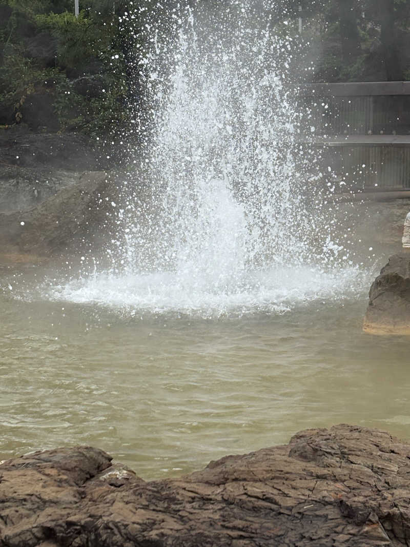 ぎょどんさんのひすいの湯のサ活写真