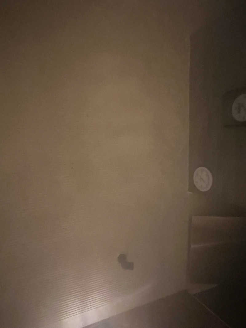さとるんさんの林檎の湯屋 おぶ～のサ活写真