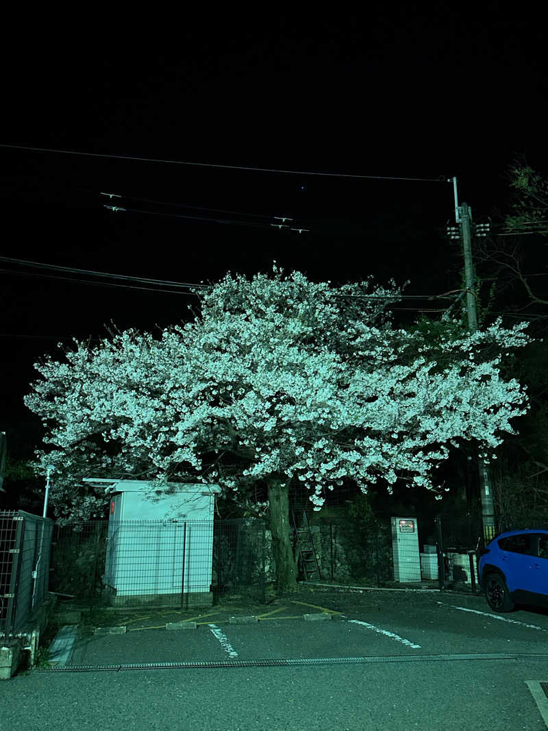 さうなぼーいさんの有田川温泉 光の湯のサ活写真