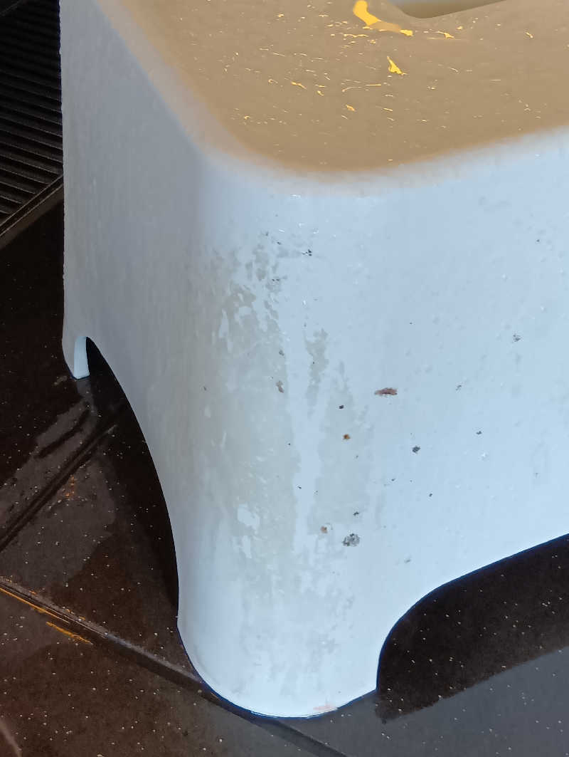 19619874年金生活水風呂イキタイさんの天然温泉 泉州の湯 関西空港のサ活写真