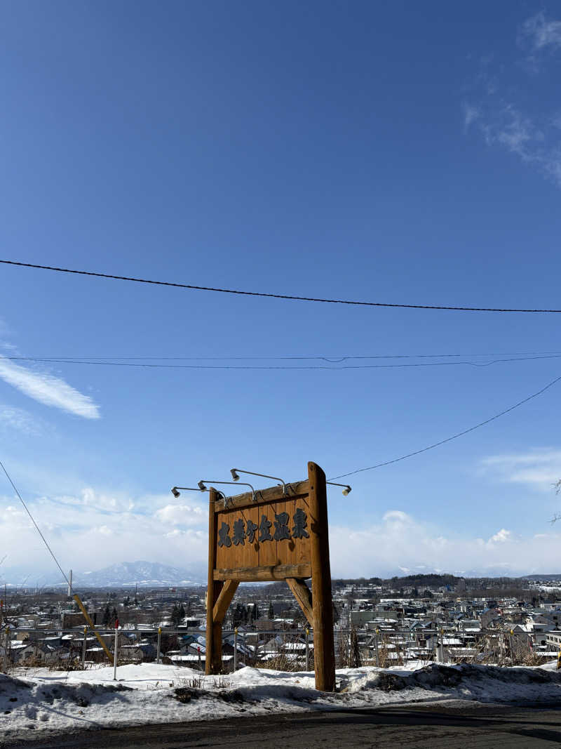 フロスキーさんの丸美ケ丘温泉ホテルのサ活写真