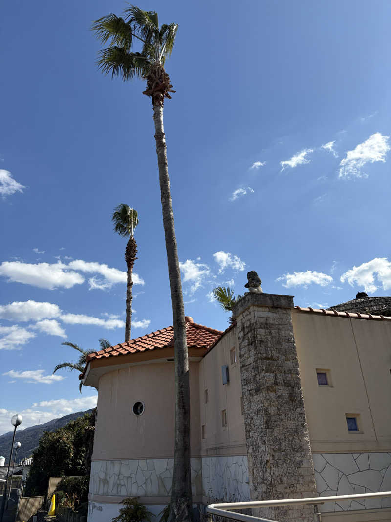 Ryoichiさんの新居浜温泉パナスのサ活写真