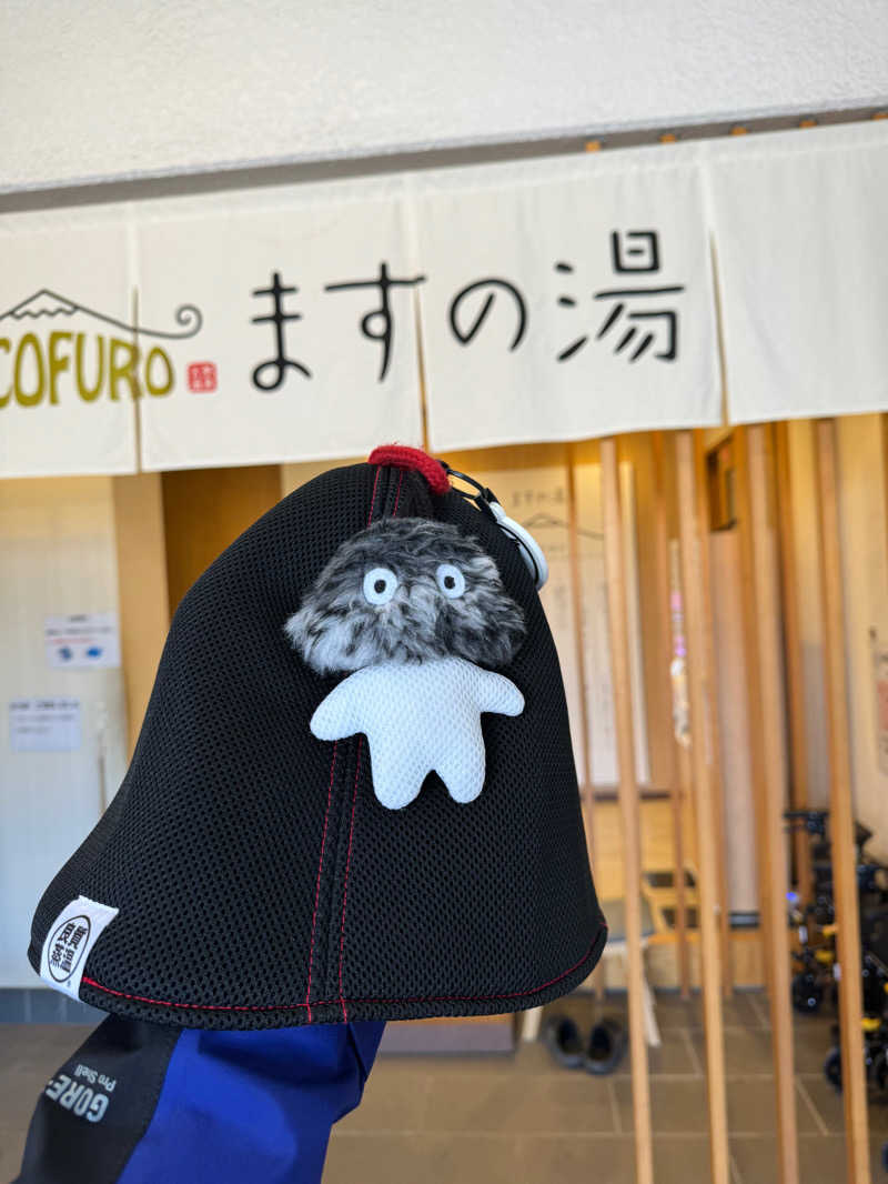 やねさんのCOCOFURO ますの湯のサ活写真