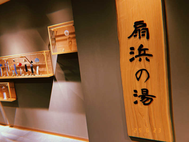 ナカちゃんさんの天然温泉 扇浜の湯 ドーミーイン川崎のサ活写真