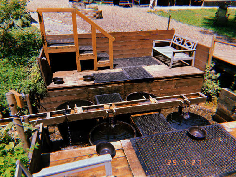 ナカちゃんさんのThe Saunaのサ活写真