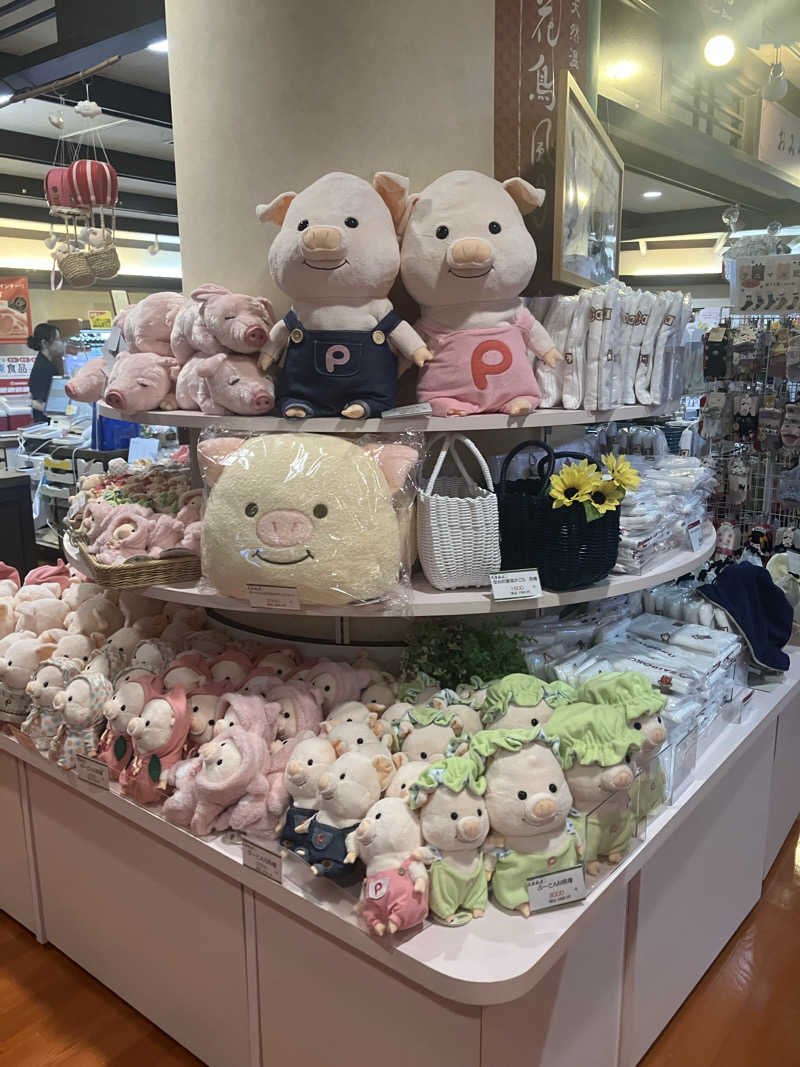 ナカちゃんさんの天然温泉 花鳥風月のサ活写真