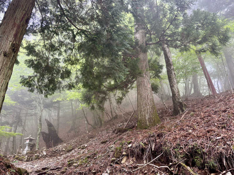 こんぺいさんの天然温泉HealthySPAサンロードのサ活写真
