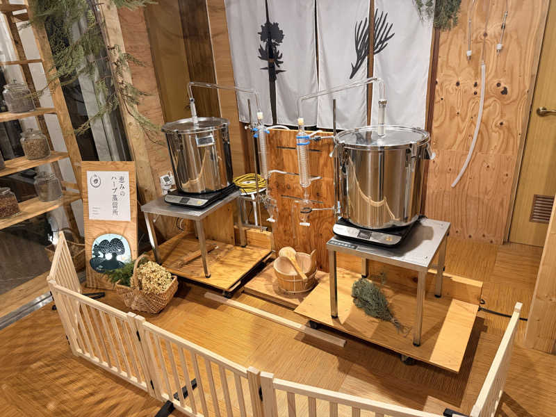 ピノちゃんげさんの岐阜各務原 恵みの湯のサ活写真